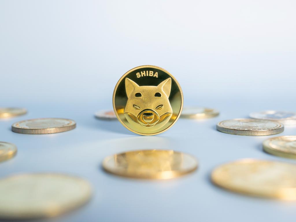 The Rise of Shib Coin: A Deep Dive into the World of Cryptocurrency