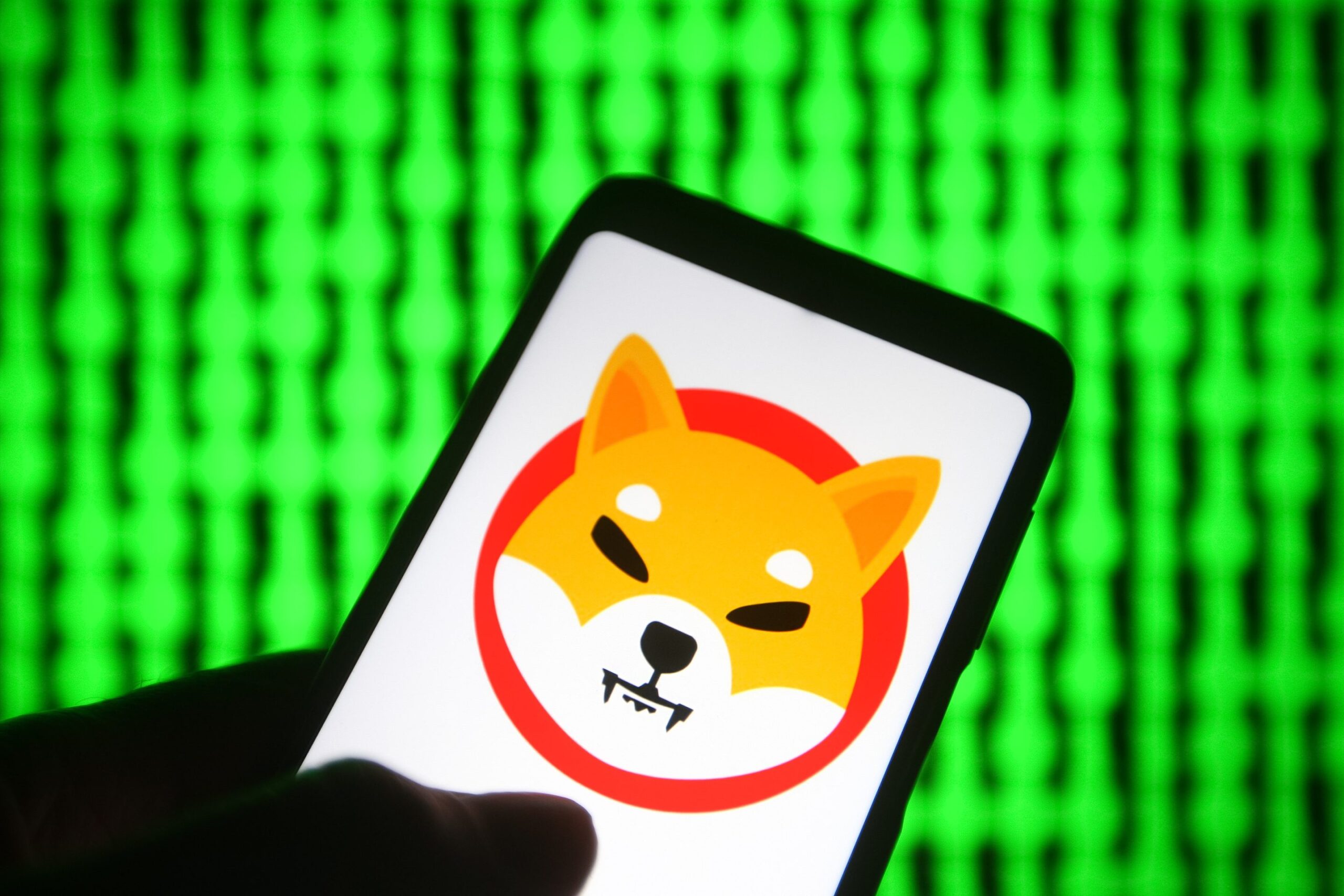The Rise of Shib Coin: A Deep Dive