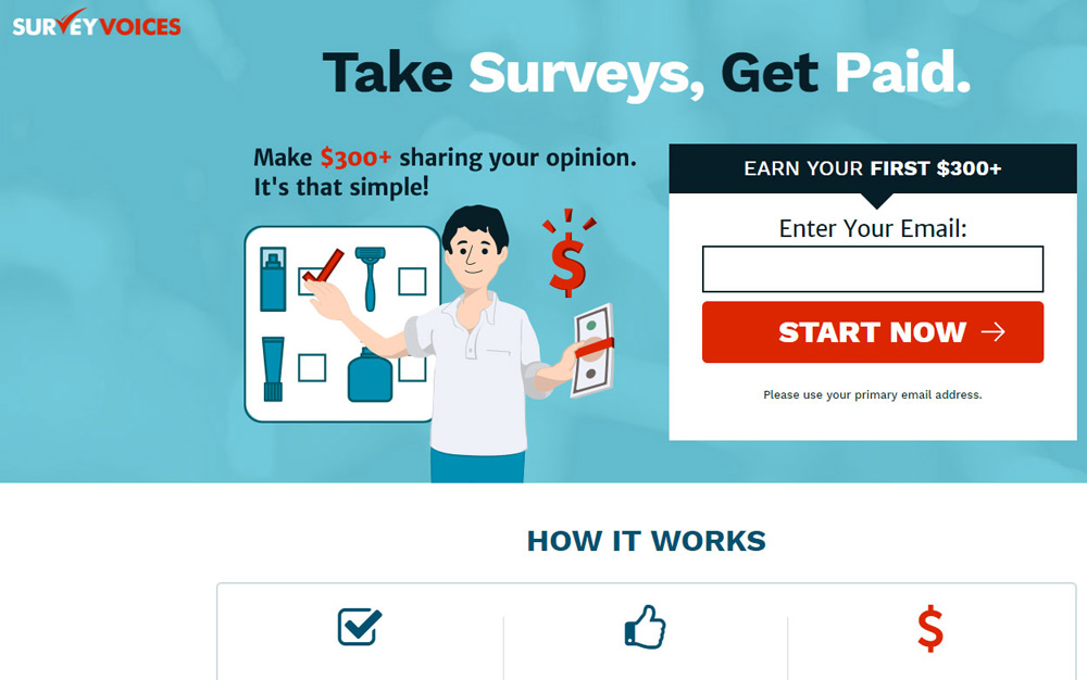 Survey Voices Review