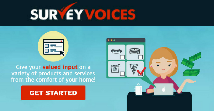 Survey Voices Review